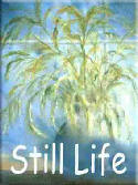 Still Life Works by Artist Jackie Stacharowski