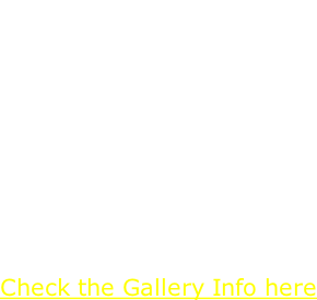 I am currently a member Of the Seacoast Artists Gallery located at the  Market Common in  Myrtle Beach SC  Our displays change twice A year on May 1st and  November 1st.  Check the Gallery Info here